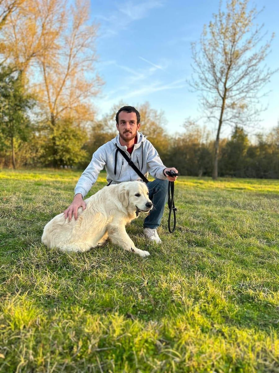 Profil de Haris